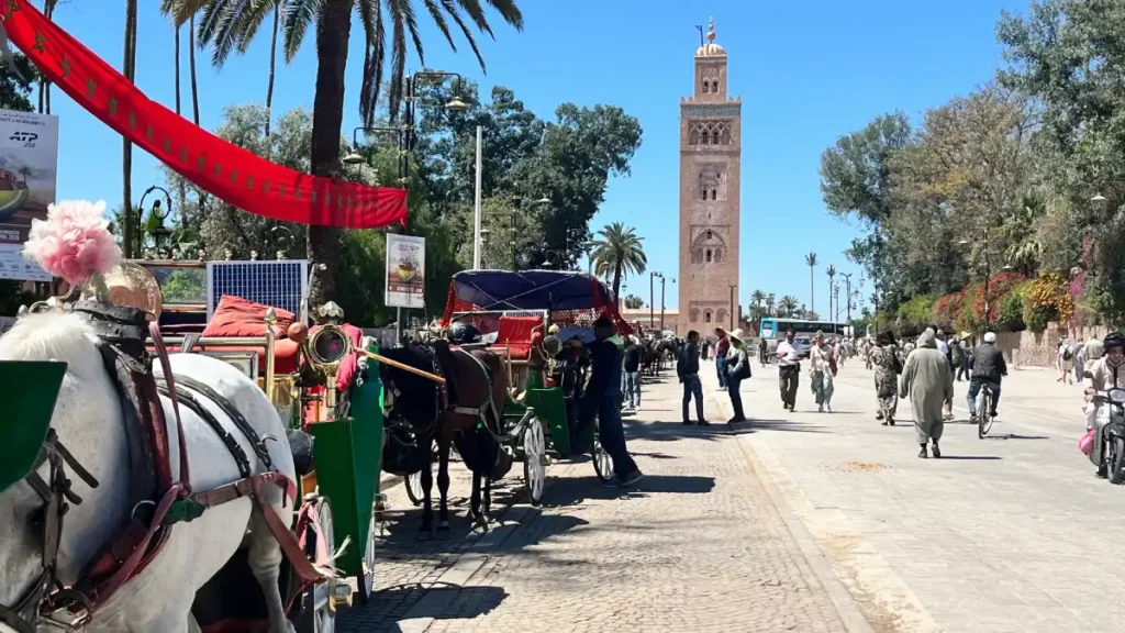 Small walking tour group in Marrakech visiting Koutoubia Mosque, Bab Agnaou, the Mellah, palace exteriors, Riad Zitoun Kdim, and ending in Jemaa el‑Fna square.  