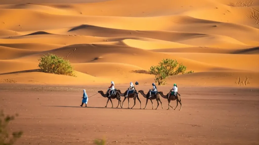 Small private group riding camels at sunset in the Merzouga desert